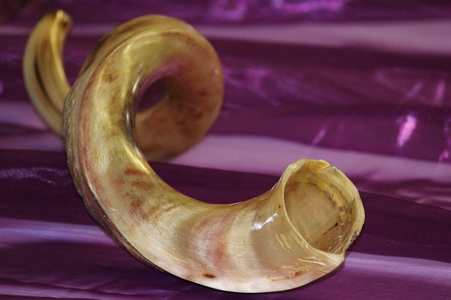 musical instrument